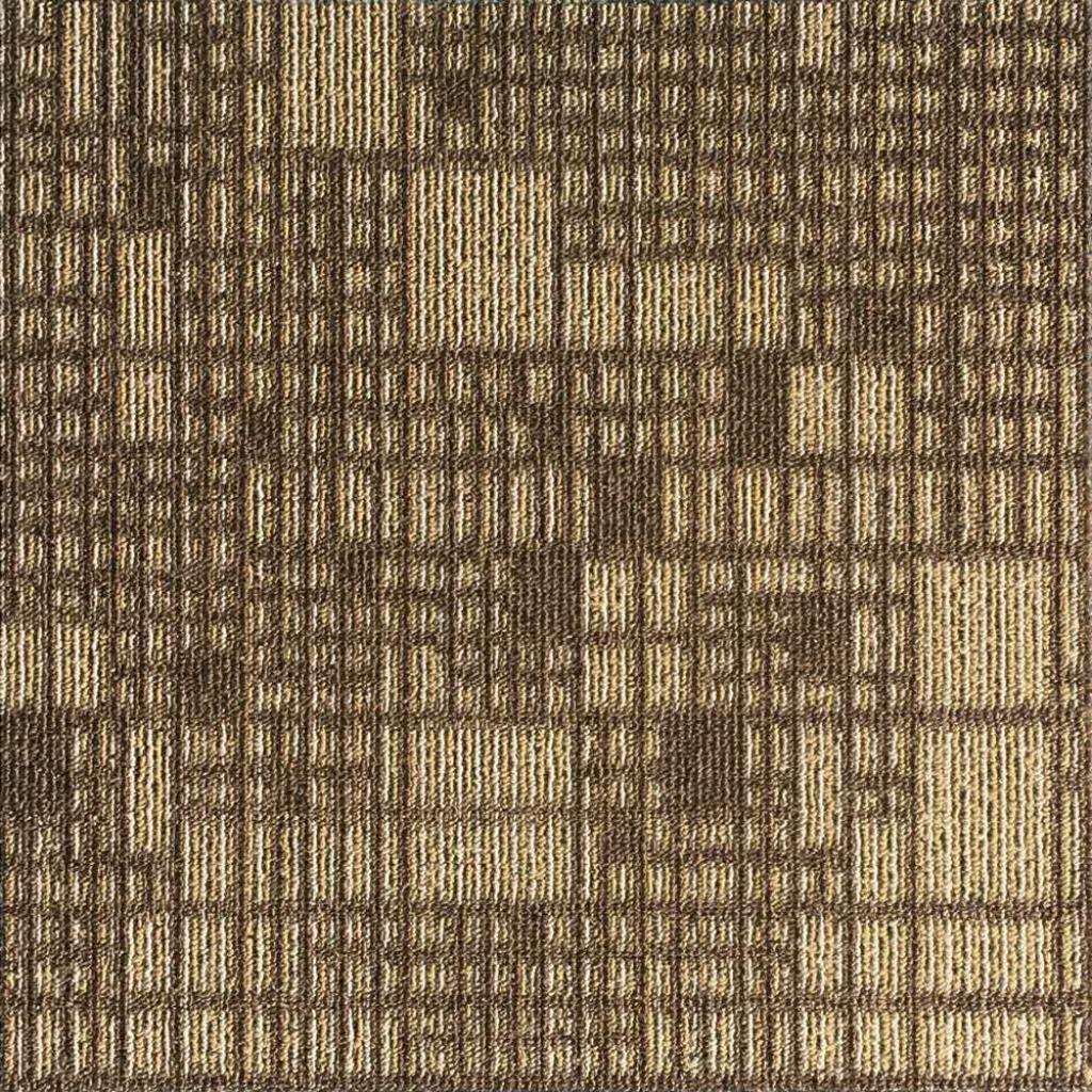 DC6